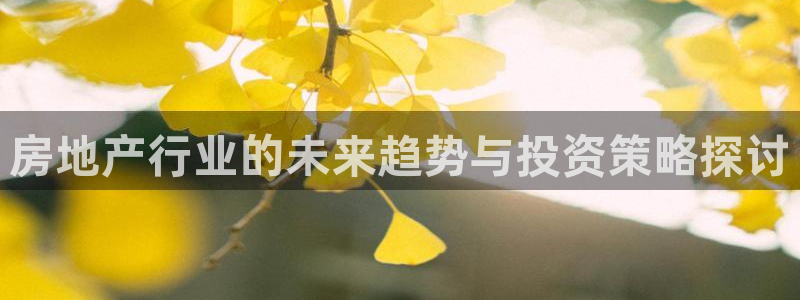 新宝5_测：房地产行业的未来趋势与投资策略探讨