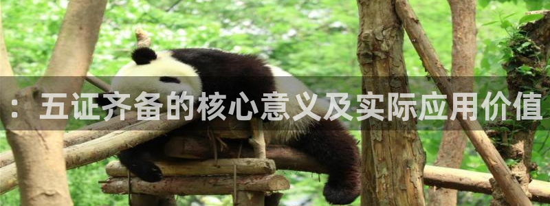 新宝5黑：：五证齐备的核心意义及实际应用价值