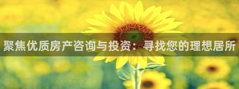 新宝5下载软件：聚焦优质房产咨询与投资：寻找您的理想居所