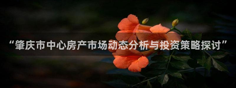 新宝5-：“肇庆市中心房产市场动态分析与投资策略探讨”