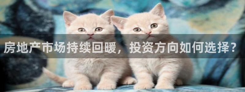 新宝5登录入口网址：房地产市场持续回暖，投资方向如何选择？