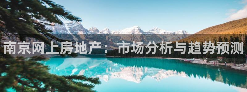 新宝股东王听2 5 5：南京网上房地产：市场分析与趋势预测