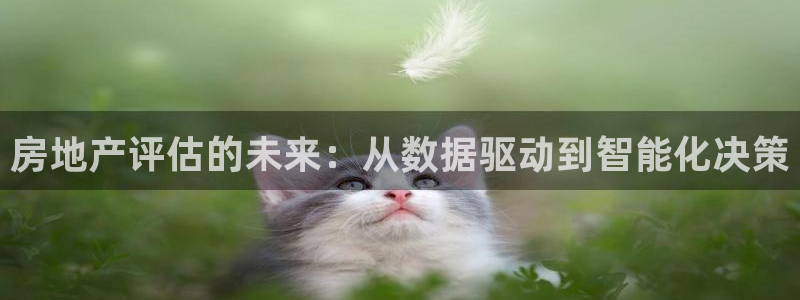 新宝5X：房地产评估的未来：从数据驱动到智能化决策