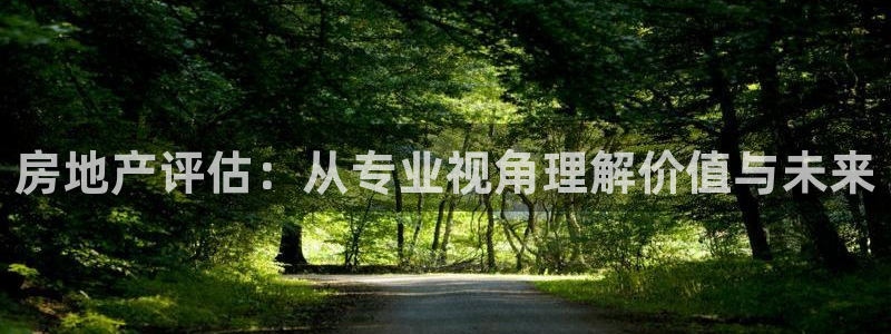 新宝股东张听2 5 5：房地产评估：从专业视角理解价值与未来