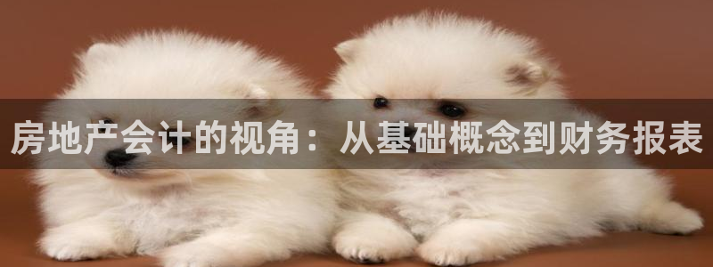 新宝5平台霸：房地产会计的视角：从基础概念到财务报表