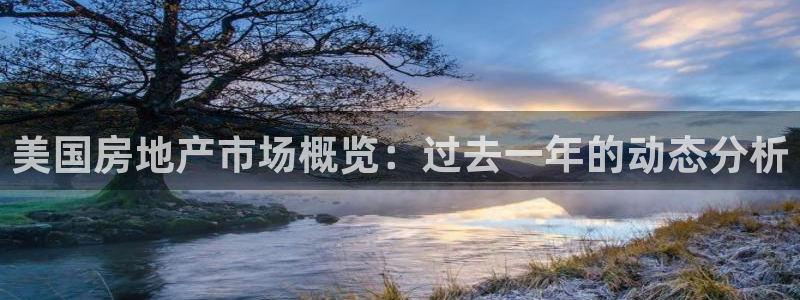 新宝5 - 测速登陆：美国房地产市场概览：过去一年的动态分析