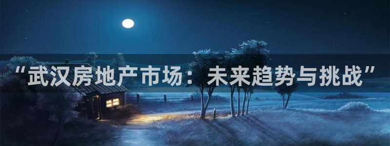 新宝奇迹GG5：“武汉房地产市场：未来趋势与挑战”