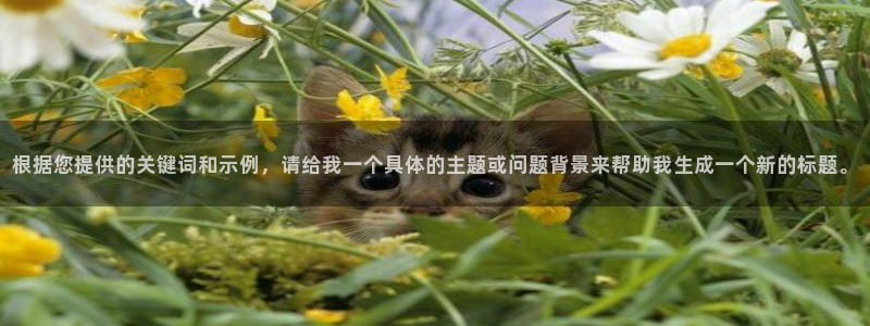 新宝5-测速：根据您提供的关键词和示例，请给我一个具体的主题