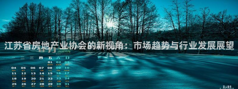 有人知道新宝5么：江苏省房地产业协会的新视角：市场趋势与行业