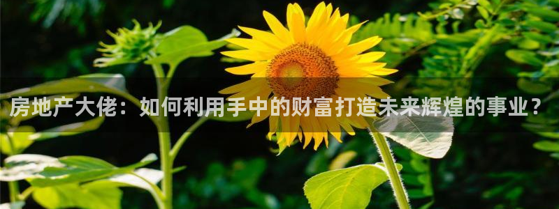 新宝5总代：房地产大佬：如何利用手中的财富打造未来辉煌的事业