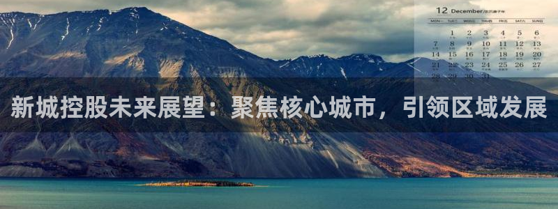 新宝5测速下载：新城控股未来展望：聚焦核心城市，引领区域发展