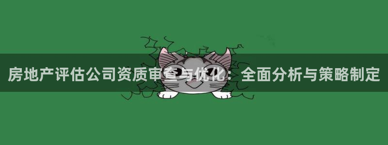 新宝5测速：房地产评估公司资质审查与优化：全面分析与策略制定