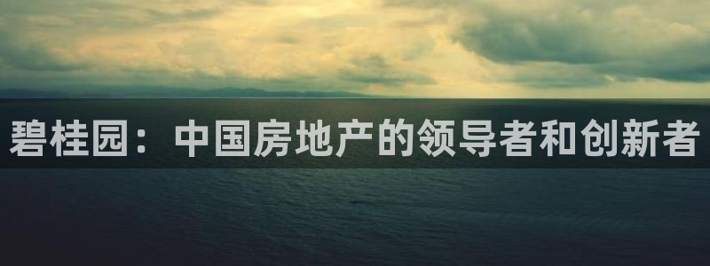 新宝5公司：碧桂园：中国房地产的领导者和创新者