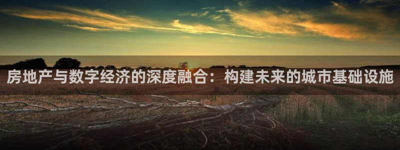 新宝5主管：房地产与数字经济的深度融合：构建未来的城市基础设