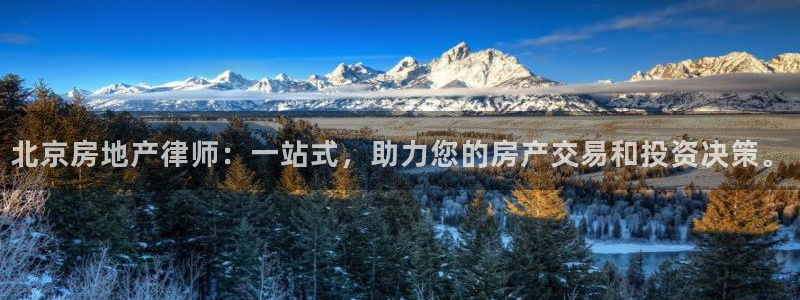 新宝5日740005蔻：北京房地产律师：一站式，助力您的房产