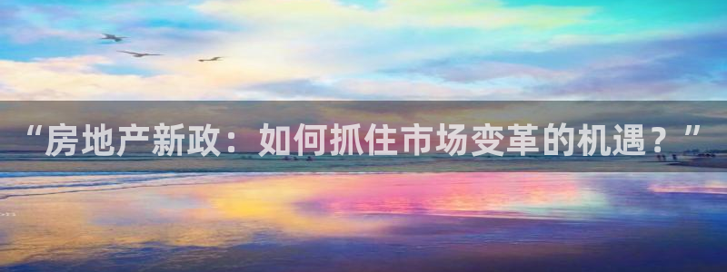 新宝5登录注册：“房地产新政：如何抓住市场变革的机遇？”