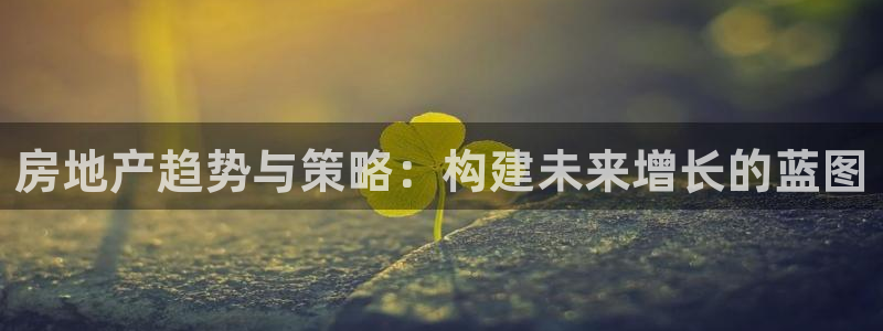 新宝3得74OO5：房地产趋势与策略：构建未来增长的蓝图