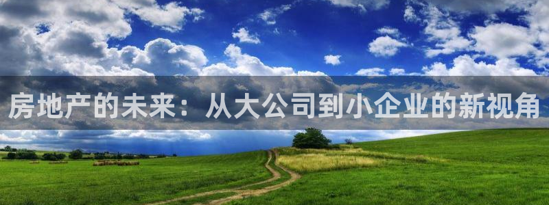 新宝5X：房地产的未来：从大公司到小企业的新视角