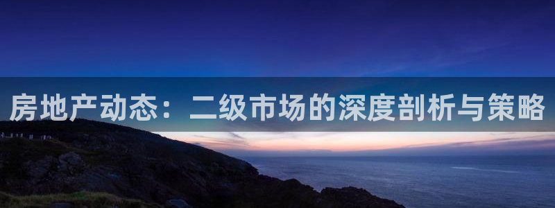 新宝h2O5O5O：房地产动态：二级市场的深度剖析与策略