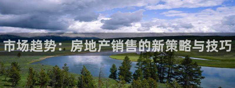 新宝5下载到桌面：市场趋势：房地产销售的新策略与技巧