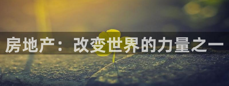 新宝5寻33 300球：房地产：改变世界的力量之一
